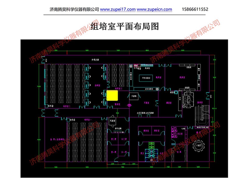 马拉西亚植物91看片软件免费室（培养室）净化设计
