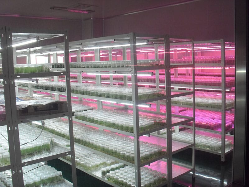 蓝莓91看片软件免费室及仪器设备