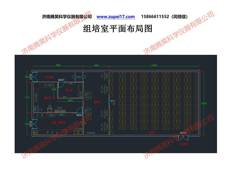 昆明人参果91看片软件免费室建设方案