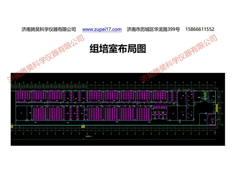 91看片软件免费  91看片软件免费室