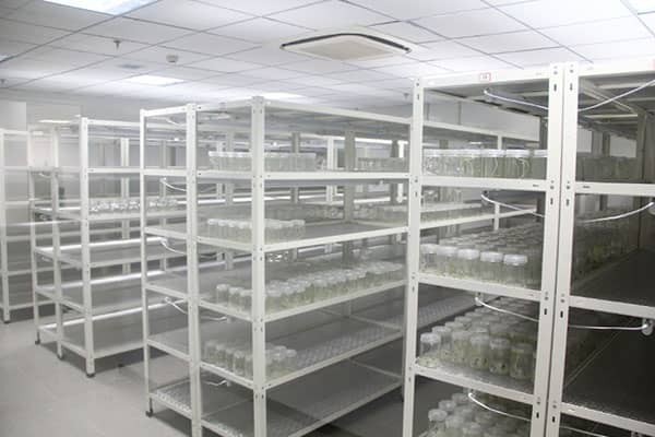 91看片软件免费架的优点有哪些