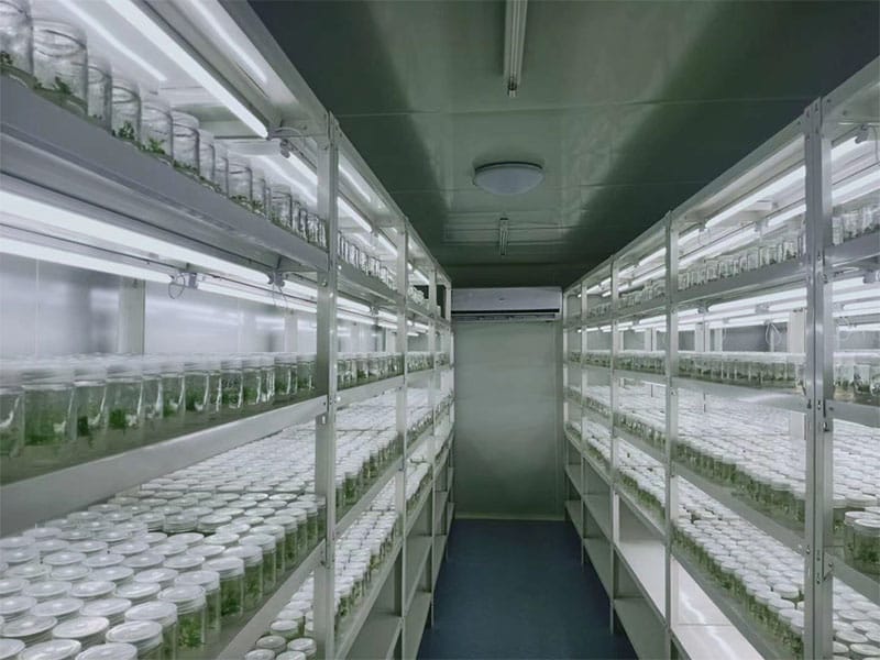91看片软件免费  91看片软件免费架