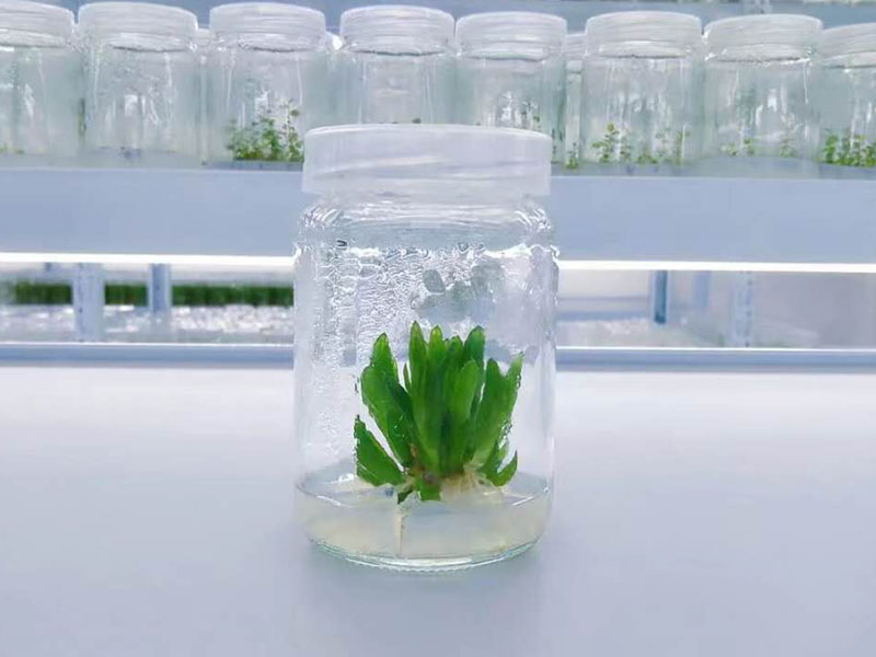 91看片软件免费瓶