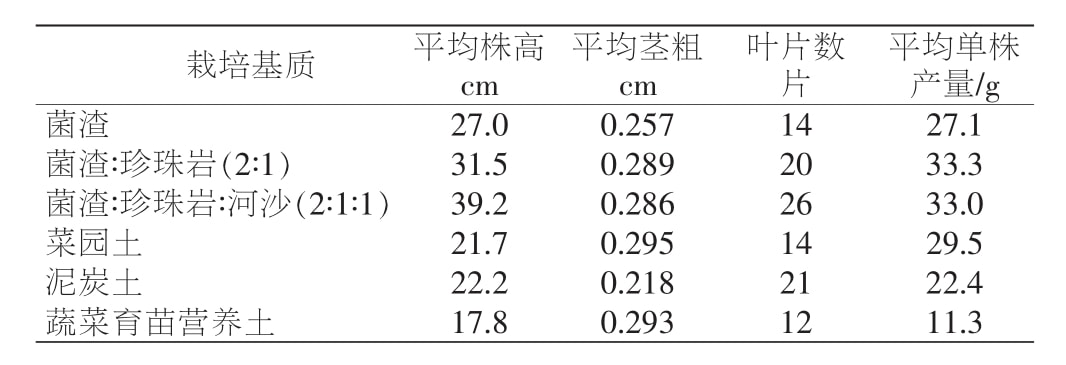 黄精91看片软件免费苗移栽技术研究