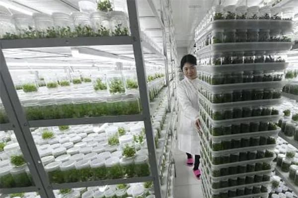 植物91看片软件免费培养室基本原理
