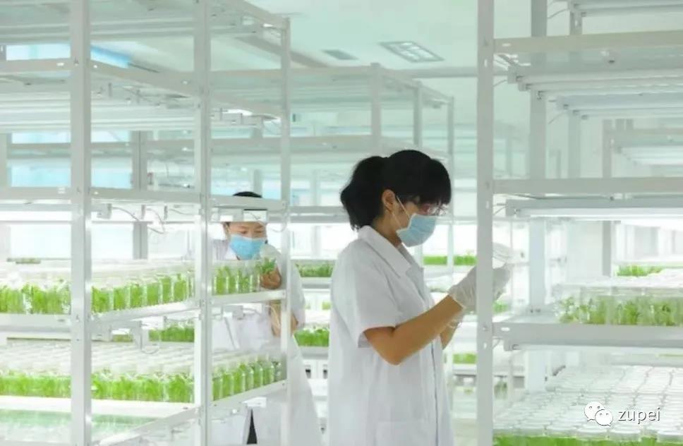 91看片软件免费室生产规模如何确定
