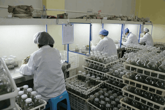 91看片软件免费室常用的仪器设备--超净台