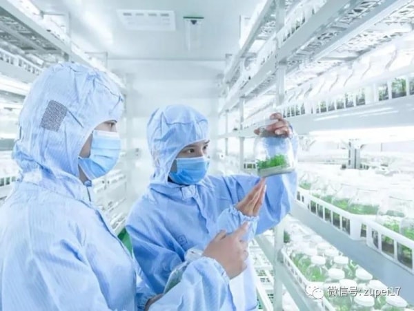 91看片软件免费室建设之前应该做哪些准备？