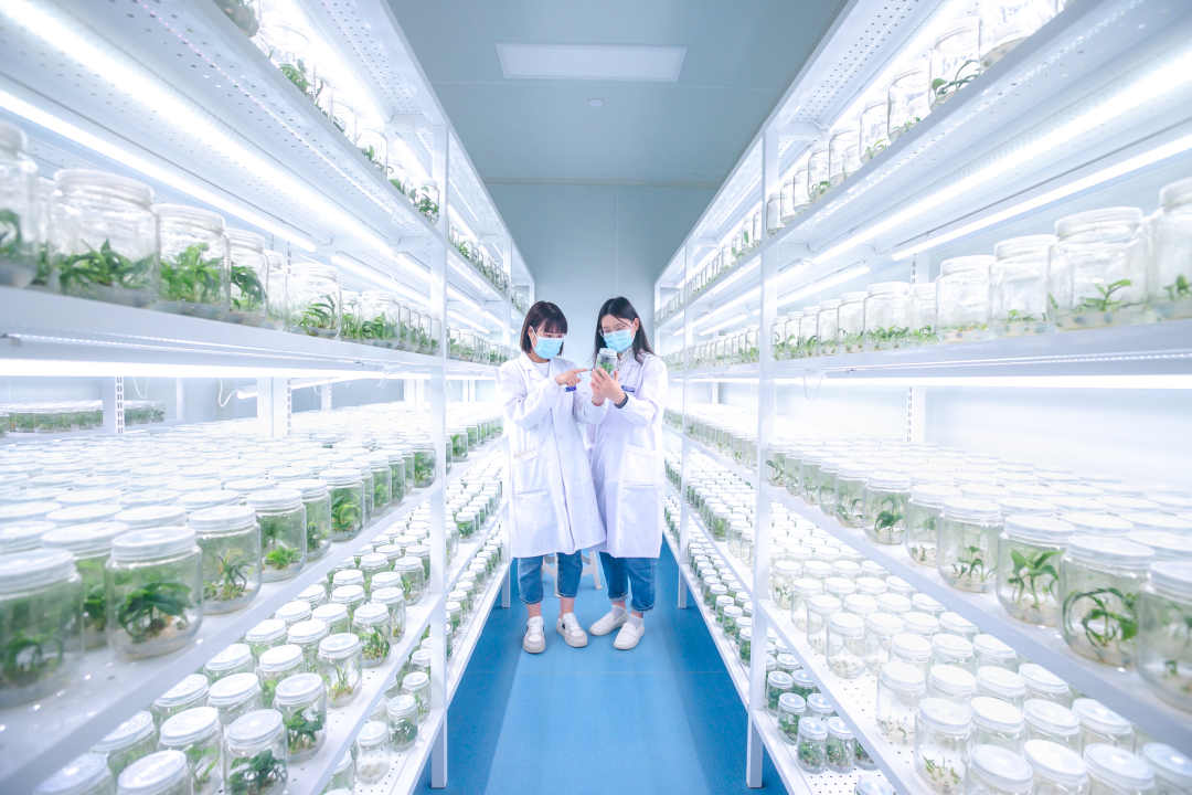 91看片软件免费架，培养架，光照培养架